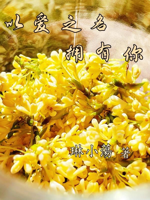 以爱之名拥有你