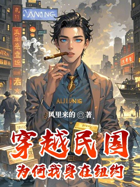 穿越民国为何我身在纽约