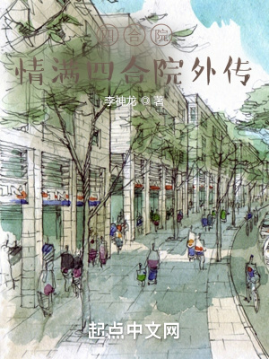 四合院:情满四合院外传